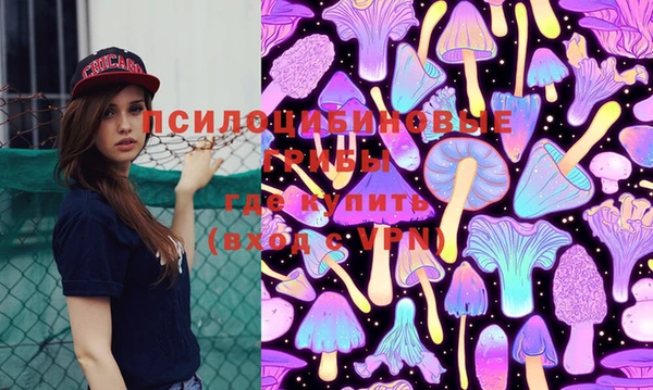 крисы Сосновка